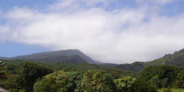 HawaiiTrip_08900137